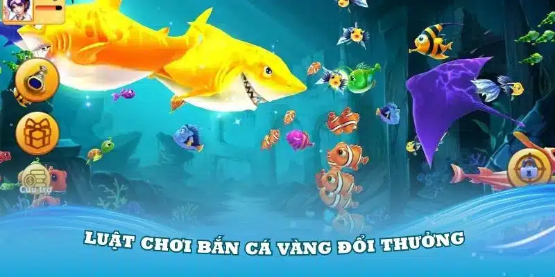 Bật mí 3 bí kíp săn cá vàng từ siêu xạ thủ